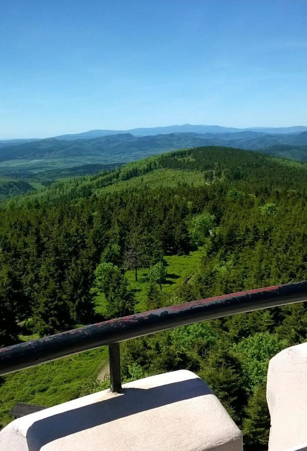 miniSowa Apartment Jedlina-Zdroj Bagian luar foto